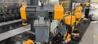 Zakaj je ta nemška stranka izbrala naše evropsko električno verižno dvigalo